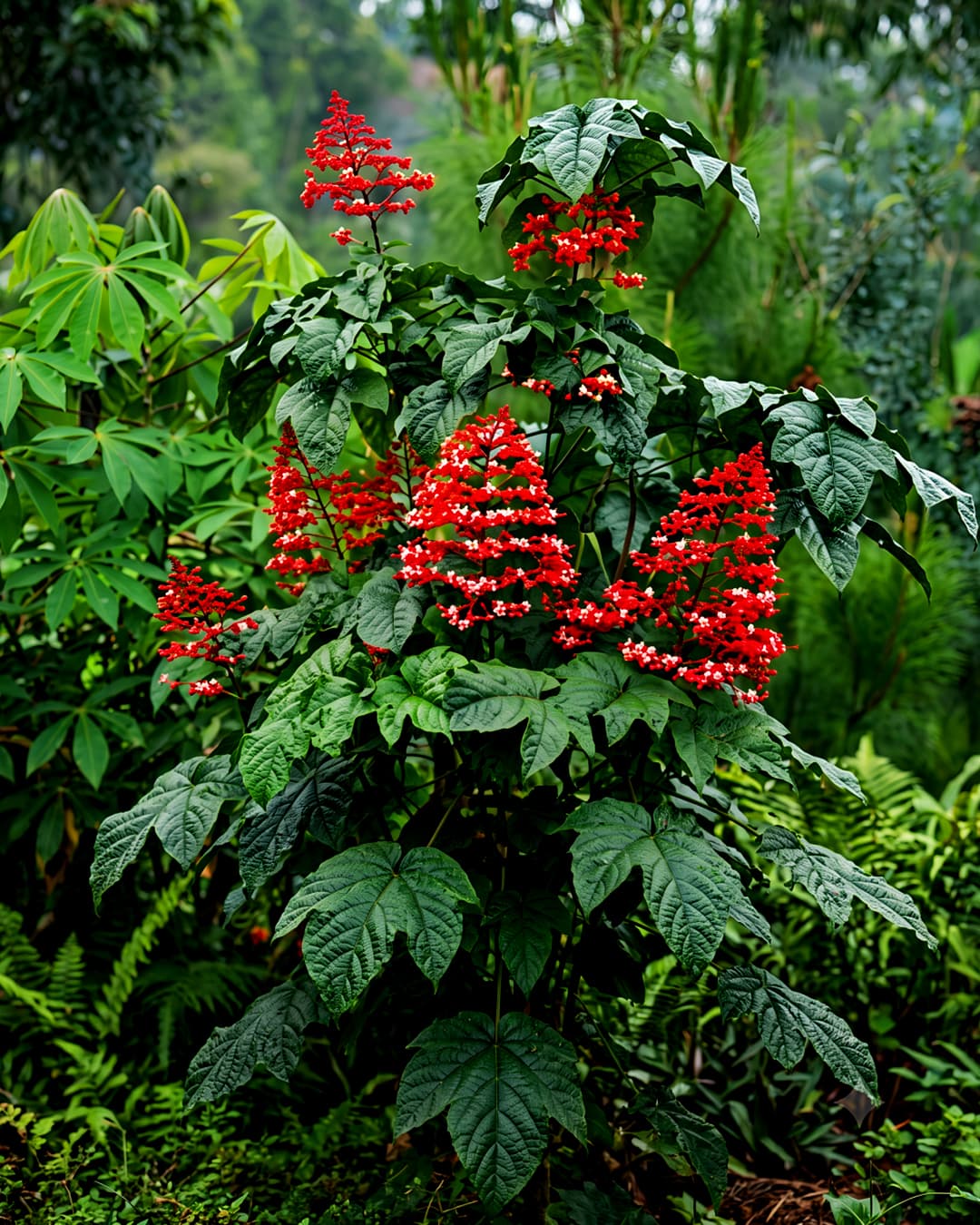 Sri Satyadeva Nursery